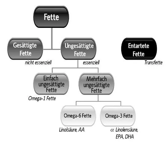 631 Gesättigte Fette auch nichtessenzielle Fette genannt Gesättigte Fette - фото 32