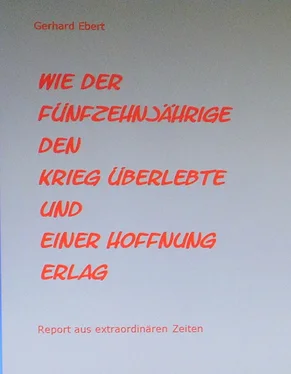 Gerhard Ebert Wie der Fünfzehnjährige den Krieg überlebte und einer Hoffnung erlag обложка книги