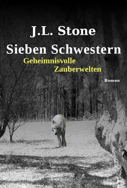 J.L. Stone Sieben Schwestern - Geheimnisvolle Zauberwelten обложка книги