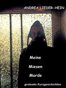 Andrea Lieder-Hein Meine Miesen Morde обложка книги