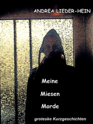 Andrea Lieder-Hein - Meine Miesen Morde