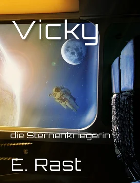 Erich Rast Vicky обложка книги