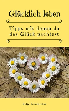 Lilja Lindström Glücklich leben: Tipps mit denen du das Glück pachtest обложка книги