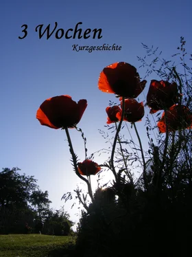 Simone Zenker Drei Wochen обложка книги