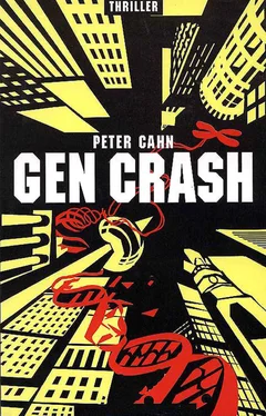 Peter Schmidt GEN CRASH обложка книги