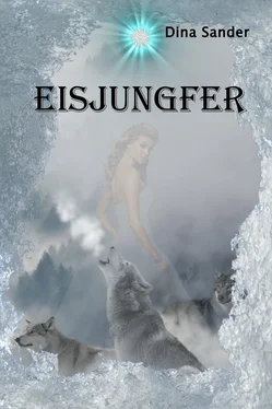 Dina Sander Eisjungfer обложка книги