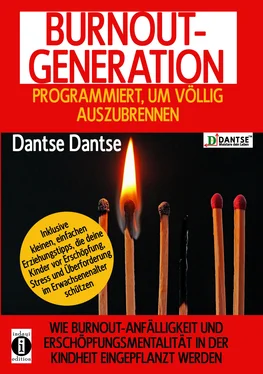 Dantse Dantse Burnout Generation обложка книги