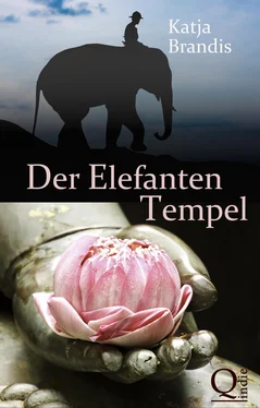 Katja Brandis Der Elefanten-Tempel обложка книги