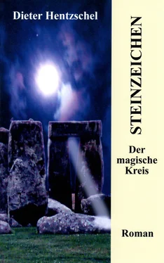 Dieter Hentzschel Steinzeichen обложка книги