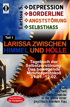 Larissa S. DEPRESSION - BORDERLINE - ANGSTSTÖRUNG - SELBSTHASS обложка книги