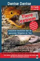 Dantse Dantse - Tiere extrem Band 1