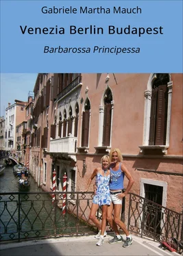 Gabriele Martha Mauch Venezia Berlin Budapest обложка книги