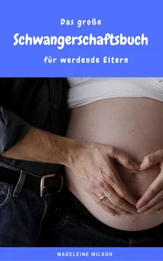 Madeleine Wilson Das große Schwangerschaftsbuch für werdende Eltern обложка книги