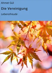 Ahmet Gül - Die Vereinigung