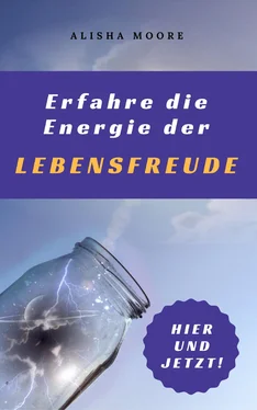 Alisha Moore Erfahre die Energie der LEBENSFREUDE: Hier und Jetzt! обложка книги