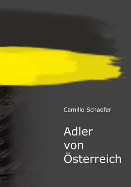 Camillo Schaefer Adler von Österreich обложка книги