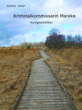 Günther Seiler Kriminalkommissarin Mareke обложка книги