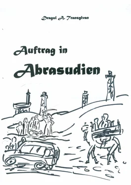 Alexander Zink Auftrag in Abrasudien обложка книги