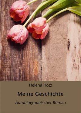 Helena Hotz Meine Geschichte обложка книги