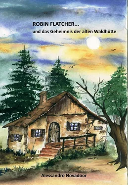 Alessandro Novadoor Robin Flatcher... und das Geheimnis der alten Waldhütte - Buch 1 обложка книги