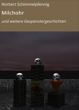 Norbert Schimmelpfennig Milchohr обложка книги