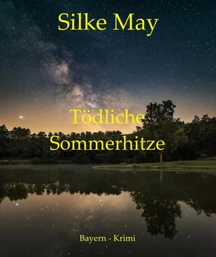 Silke May Tödliche Sommerhitze обложка книги