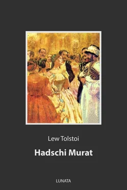 Lew Tolstoi Hadschi Murat обложка книги