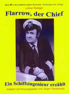 Lothar Rüdiger Flarrow, der Chief – Teil 3 обложка книги