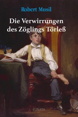 Robert Musil Die Verwirrungen des Zöglings Törleß обложка книги