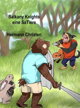 Hermann Christen Balkany Knights обложка книги