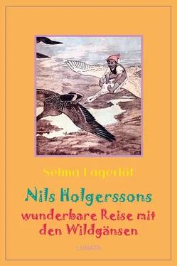 Selma Lagerlöf Nils Holgerssons wunderbare Reise mit den Wildgänsen обложка книги