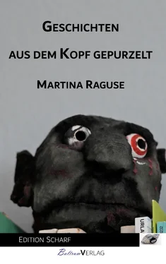 Martina Raguse Geschichten aus dem Kopf gepurzelt обложка книги