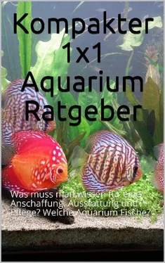 Powerlifting check Kompakter 1x1 Aquarium Ratgeber обложка книги