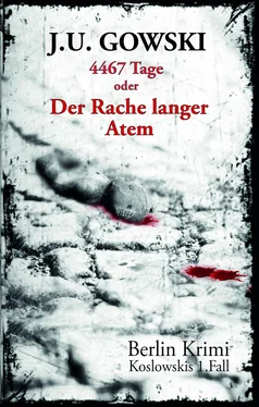 J. U. Gowski 4467 Tage oder Der Rache langer Atem обложка книги