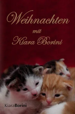 Kiara Borini Weihnachten mit Kiara Borini обложка книги