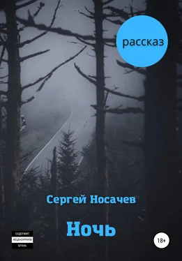 Сергей Носачев Ночь обложка книги