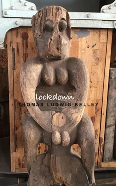 Thomas Ludwig-Kelley Lockdown обложка книги