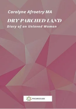 Carolyne Afroetry Dry Parched Land обложка книги