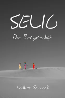 Volker Schunck Selig обложка книги