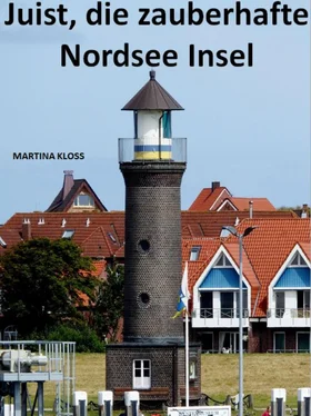 Martina Kloss Insel Juist – ganz zauberhaft обложка книги