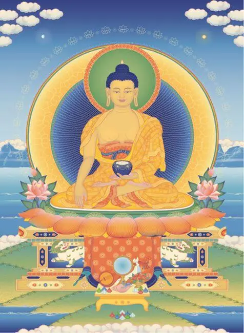 Buddha Shakyamuni Die mündlichen Anleitungen des Mahamudra Weitere Bücher des - фото 3