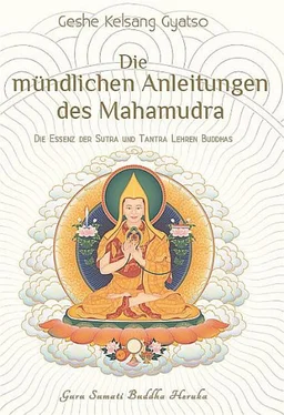 Geshe Kelsang Gyatso Die mündlichen Anleitungen des Mahamudra обложка книги
