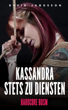 David Jagusson Kassandra stets zu Diensten [Hardcore BDSM] обложка книги