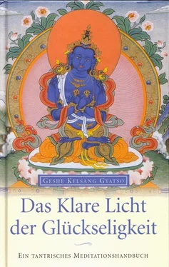 Geshe Kelsang Gyatso Das Klare Licht der Glückseligkeit обложка книги