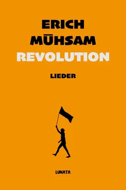 Erich Muhsam Revolution обложка книги