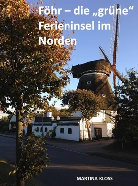 Martina Kloss Föhr – die grüne Ferieninsel im Norden обложка книги