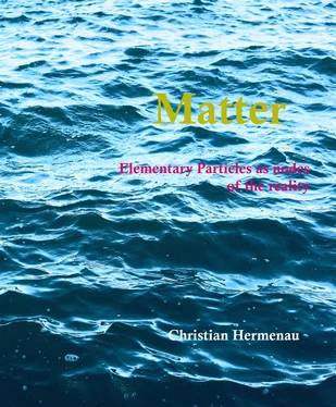Christian Hermenau Matter обложка книги