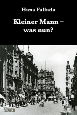 Hans Fallada Kleiner Mann was nun? обложка книги