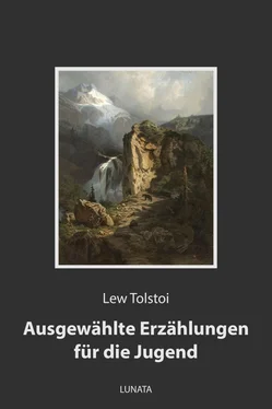 Lew Tolstoi Ausgewählte Erzählungen für die Jugend обложка книги