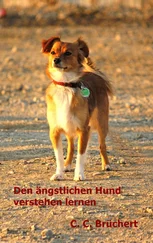 C. C. Brüchert - Ängstliche Hunde verstehen lernen